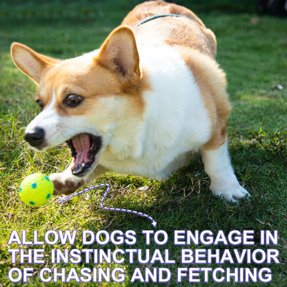 Dog Balls 12 Pcak, 9 Latex Balls and 3 Tennis Balls for Small Dogs and Puppies for Automatic Dog Ball Launcher(2 Inches)