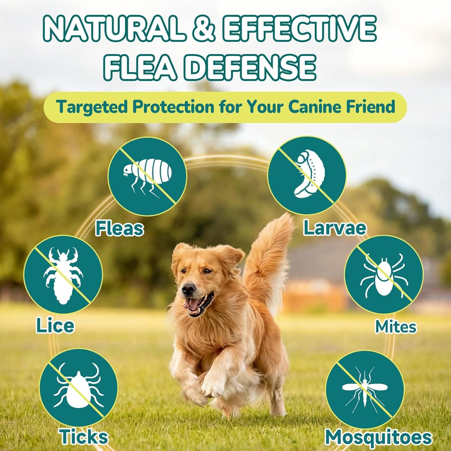 4-IN-1 Flea and Tick Prevention for Dogs, 500 Crunchy Dog Flea Chews, Dog Flea Treatment, Natural Oral Flea Treatment for Dogs, Daily Support for Flea, Skin & Coat, Gut, Immune, Chicken Flavor