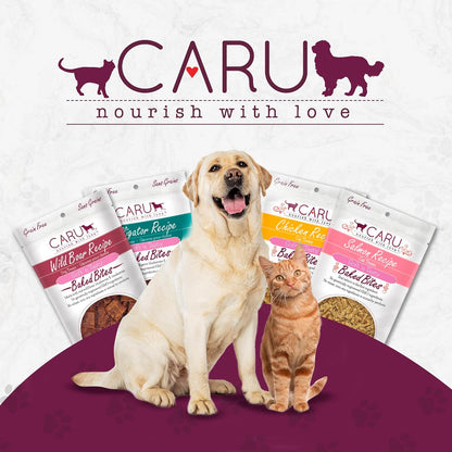 Caru - Soft ‘n Tasty Baked Bites - Salmon Bites Cat Treats - Flavorful All-Natural Treats - 3 oz. (Pack of 2)