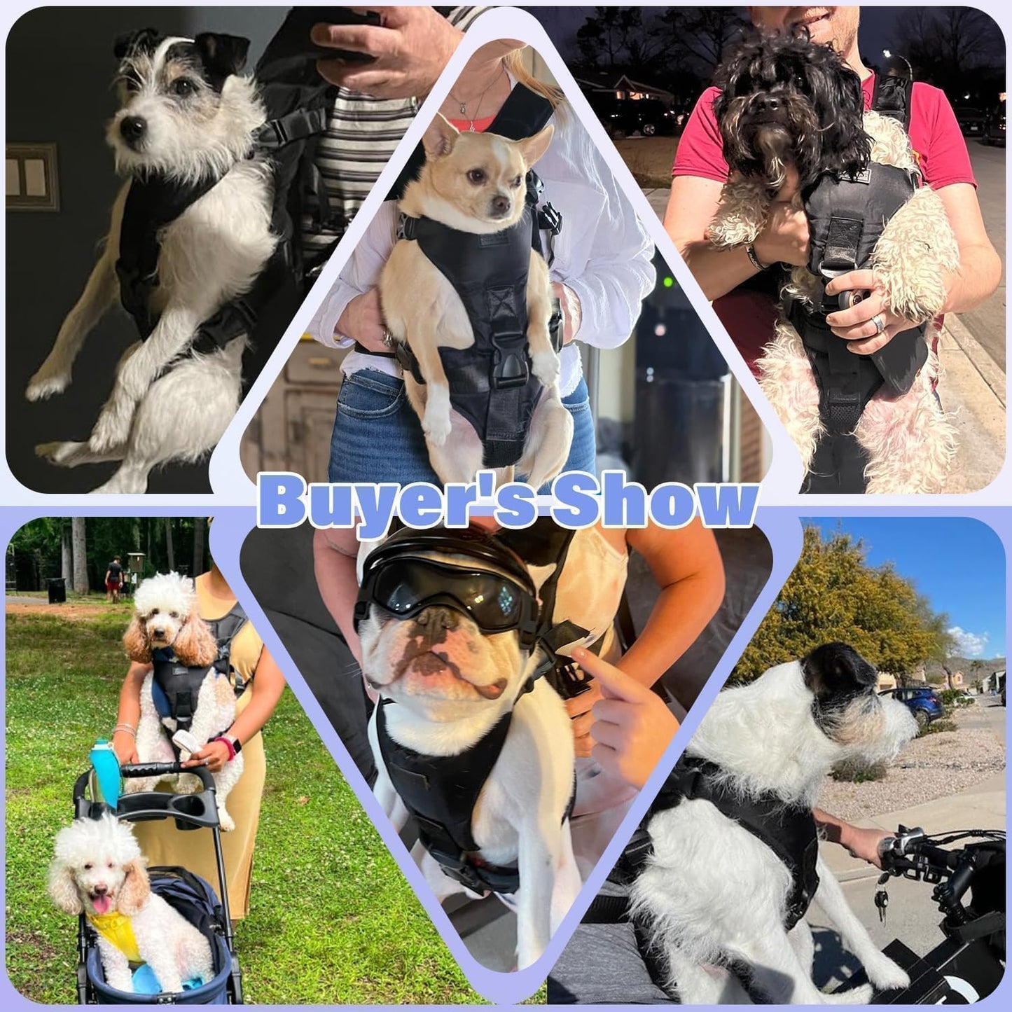 YUDODO Front Pet Carrier Backpack for Small Dogs and Cats, Secure and Breathable Mesh, Ergonomic Support, Adjustable for Walking, Hiking, or Travel (Black S)