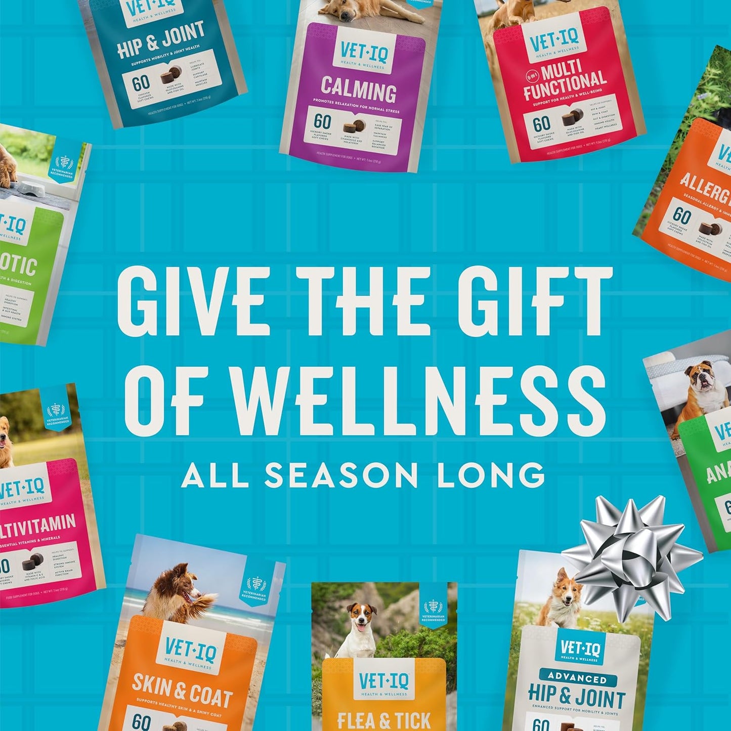 VetIQ Probiotic Supplement for Dogs, Digestive Support for Dogs, Nourishes Gut Bacteria and Supports Bowel Function, Hickory Smoke Flavor, Made in The USA, 60 Count