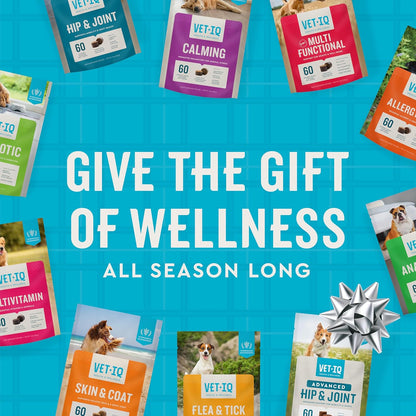 VetIQ Multivitamin Supplement for Dogs, Supports Active Brain Function, Immune System, and Digestive System, Hickory Smoke Flavored Dog Multivitamin, Made in The USA, 60 Count