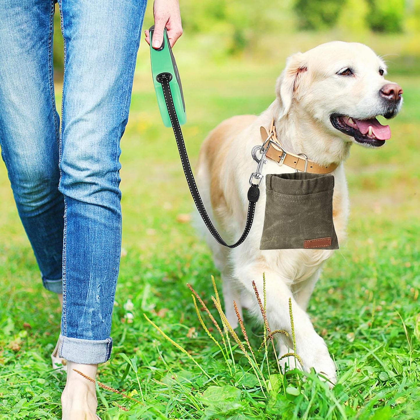 Dog Training Treat Pouch with Auto-Closing Lid, Hands-Free Leash Clip Bag for Puppy Obedience, Portable Pet Reward Snack Holder for Walking Hiking and Outdoor Adventures