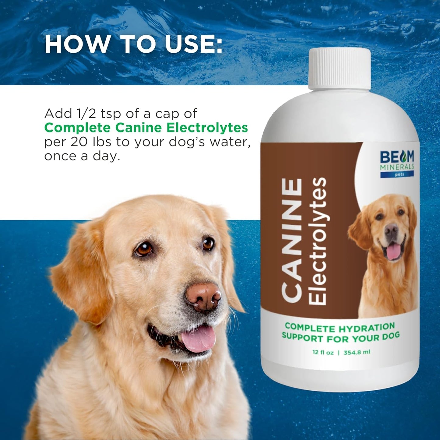 Beam Minerals Complete Canine Electrolytes | Full-Spectrum Electrolytes for Dogs | 12 Fl Oz