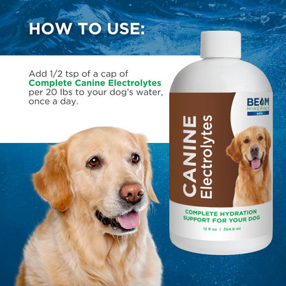 Beam Minerals Complete Canine Electrolytes | Full-Spectrum Electrolytes for Dogs | 12 Fl Oz