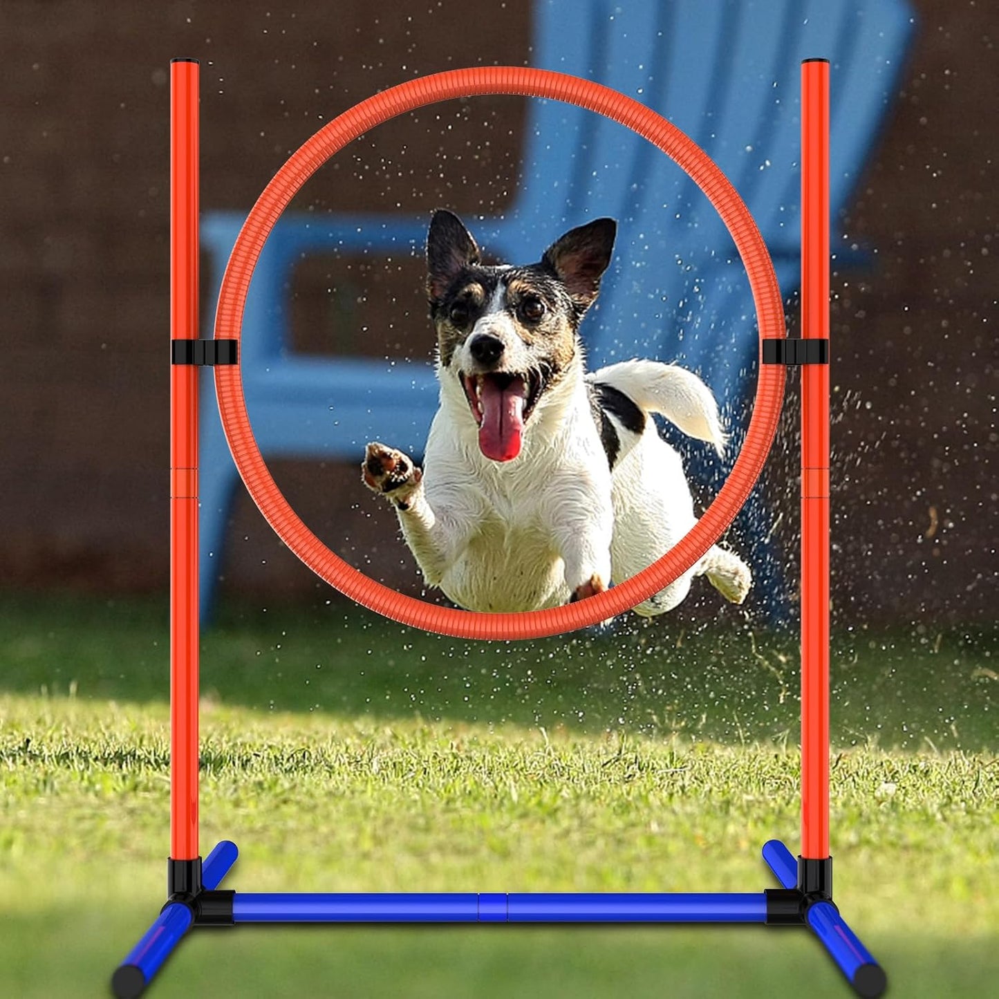 Dog Agility Training Equipment, Dog Obstacle Course Training Starter Kit Pet , Jump Pole, Jump Ring, Pause Box,Storage Bag,Dog Agility Course,Dog Hurdles,Dog Jumps,Outdoor or Indoor Game(3-Sets)
