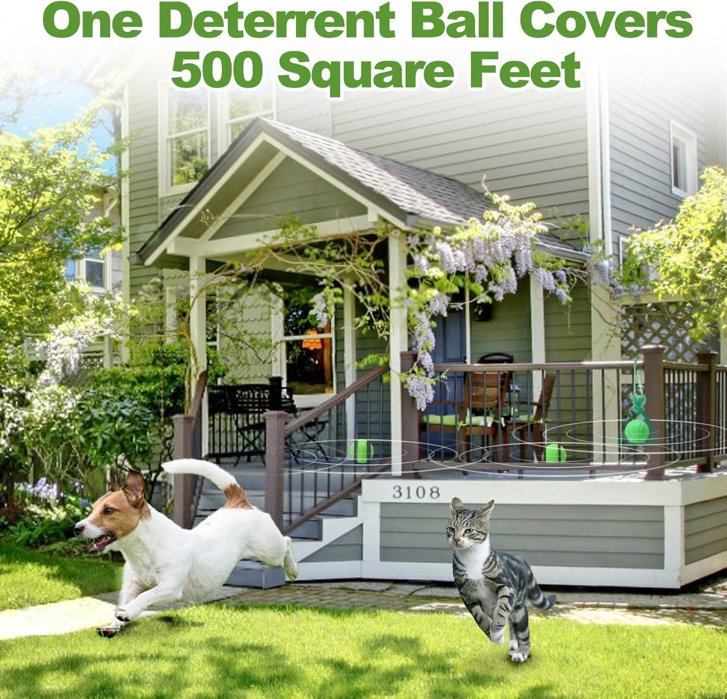 Cat Repellent Outdoor to Keep Cats Away, Natural Peppermint Oil Cat Deterrent Outdoor and Indoor, Keep Cats Out of Yard Permanently, Protect Your Yard and Furniture (Green)