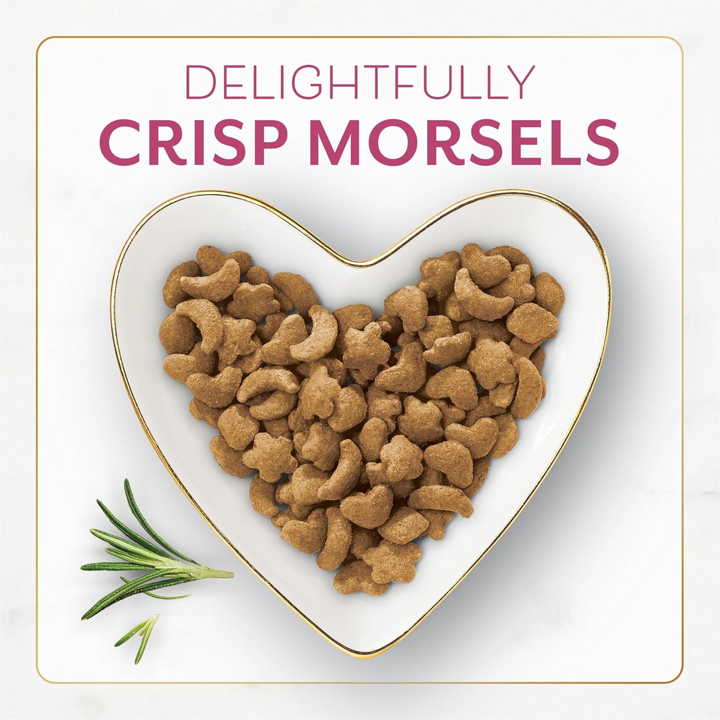 Fancy Feast Purina Filet Mignon Flavor with Real Seafood & Shrimp Dry Cat Food (7 Ounce (Pack of 1))