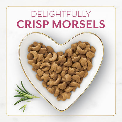 Fancy Feast Purina Filet Mignon Flavor with Real Seafood & Shrimp Dry Cat Food (7 Ounce (Pack of 1))