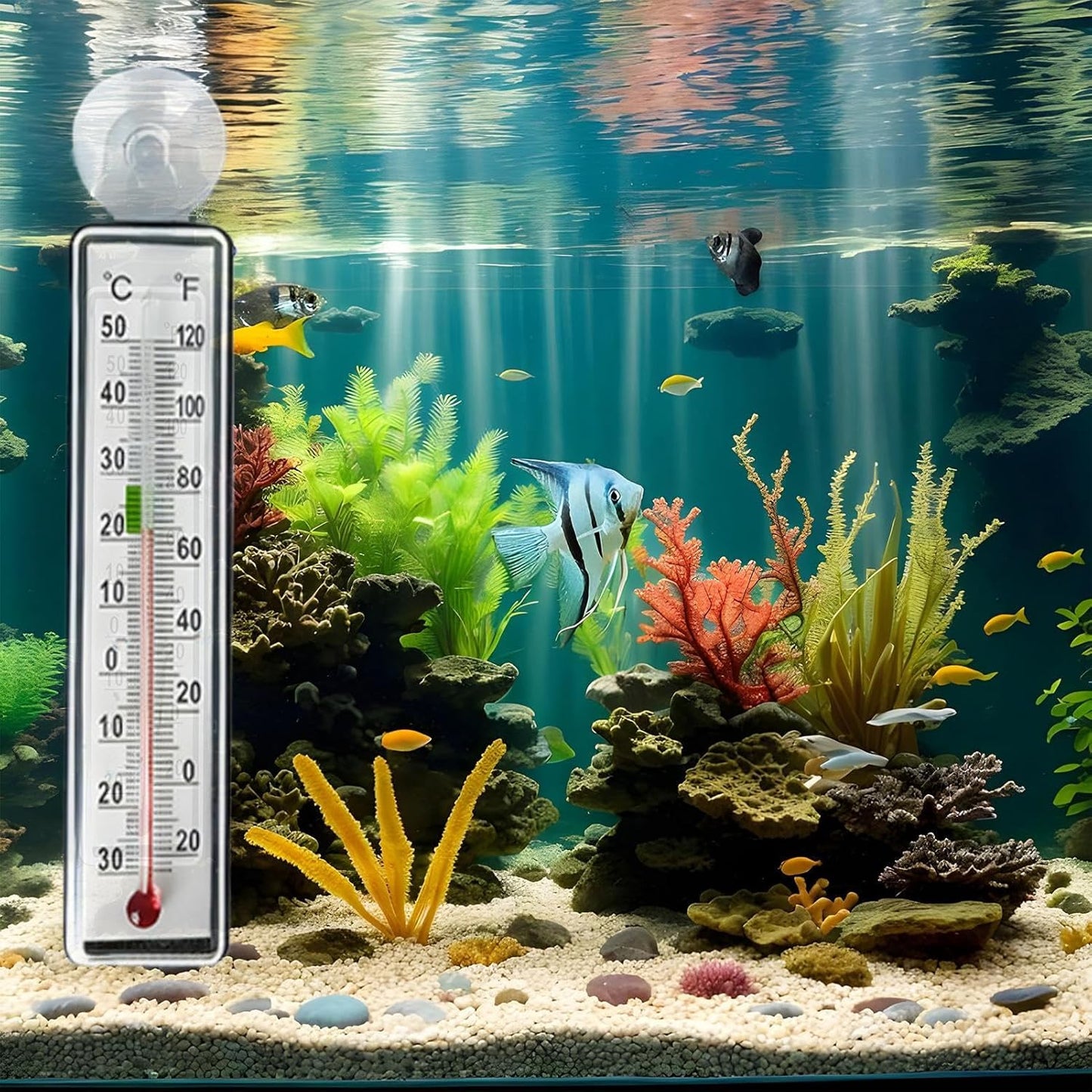 Fish Tank Temp Gauge - Reptile Tank Temperature Monitor,Suction Cup Anti-collision Temp Monitor for Aquarium Terrarium Greenhouse Indoor Fish Tank