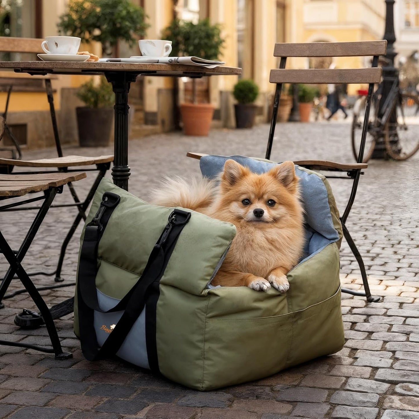 Dog Car Seat for Small Dogs: Doggy Seats Bed for Car Waterproof with Safety Leash - Pet Carseat Doggie Carriers with Storage Pockets, Hair Proof, Light Green