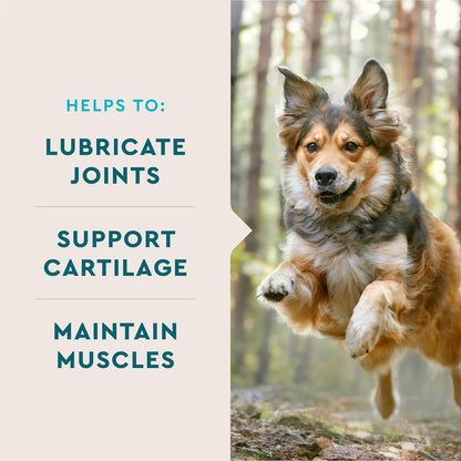 VetIQ Glucosamine Hip & Joint Supplement for Dogs, 180 Soft Chews, Joint Support Supplement with MSM and Krill, Dog Health Supplies Large & Small Breed, Chicken Flavored Chewables