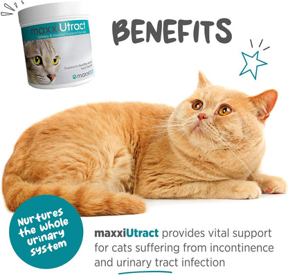 maxxipaws maxxiUtract Urinary & Bladder Support - Powder Supplement for Cats, 3.2oz
