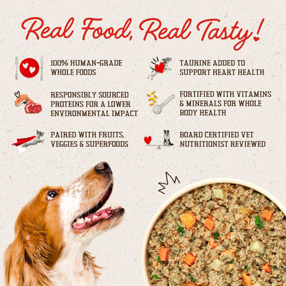 Stella & Chewy's FreshMade Frozen Fresh Grain-Free Gobblin' Good Dog Food, 16-oz pouch (Pack of 4)