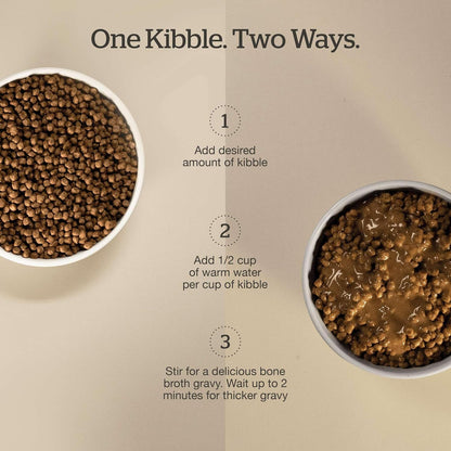 Now Fresh Good Gravy Grain-Free Dry Cat Food with Chicken, Healthy Kibble for Adults & Seniors Coated in Bone Broth – Just Add Water to Moisten, with Pumpkin for Sensitive Stomachs, 3 lb Bag