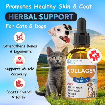 Liquid Collagen for Dogs and Cats, Skin & Coat Supplement, Itch Relief, Joint & Mobility Support, Enriched with Grass-Fed Collagen, MSM, Biotin & Ginger, Daily All-in-One Pet Health Formula