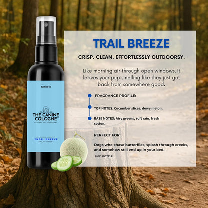 Boone & Co. Canine Cologne Spray for Dogs – 8 oz | Pet-Safe Dog Deodorizer & Grooming Spray | Clean Ingredients, Long-Lasting Scent | Made in USA | 3 Signature Scents (Trail Breeze)