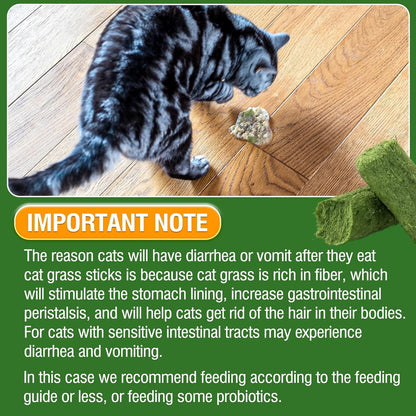 30g Cat Grass Sticks, Delicious Cat Grass Teething Stick Edible Cats Chew Toy Cat Treats Snack for Teeth Cleaning and Hairball Removal