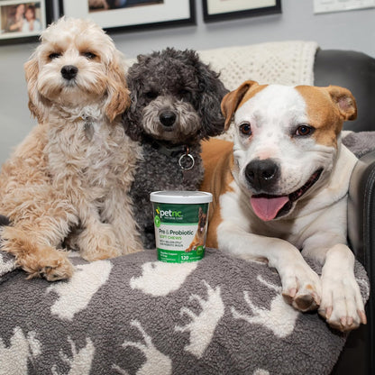 PetNC Natural Care Liver Flavor,Cheese Pre & Probiotic Soft Chews for Dog 120 ct (Pack of 1) (Packaging May Vary)