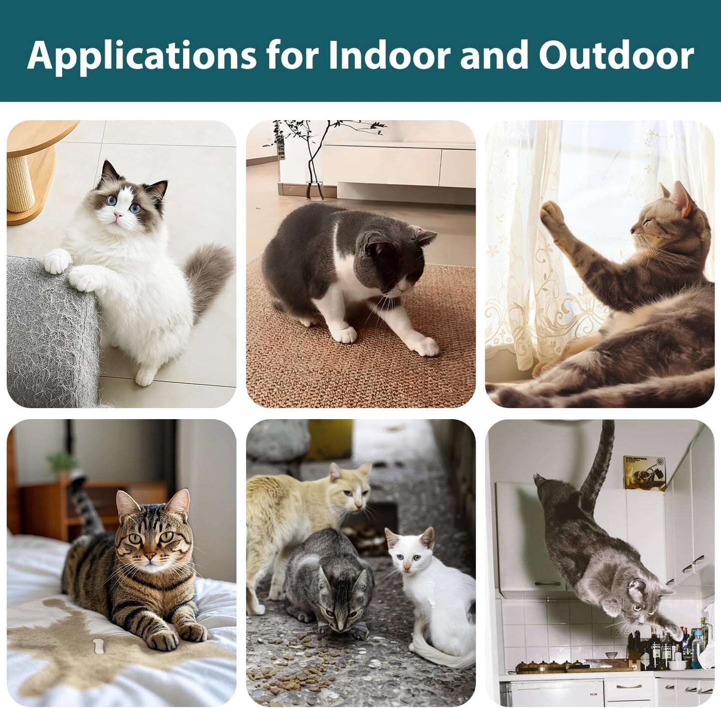 Advanced Cat Deterrent Spray, Natural Formula Cat Repellent Indoor and Outdoor, Strengthened Cat Scratch Deterrent for Furniture, Sofas, Rugs, Curtain Protection, Stop Cats from Urinating (Green, M)