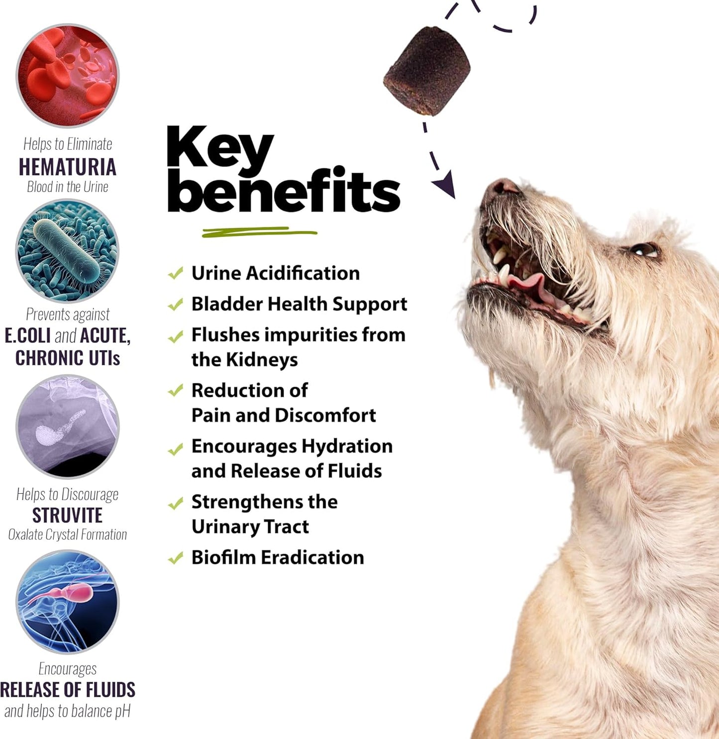 Dog Urinary Tract Infection Treatment, Bladder & Kidney Support for Dogs, Powerful Pet Care, Natural Soft Chews with Cranberry & Glucosamine, Made in The USA, Chicken Flavor, 90 Count, 2 Pack