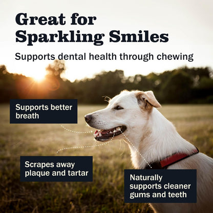 Redbarn Pet Products All Natural 5"-8" Bully Sticks for Small & Large Dogs - Healthy Long Lasting Chews Variety Party Pack - 100% Beef Single Ingredient Low Odor Rawhide Free Dental Treats - 8 oz Bag