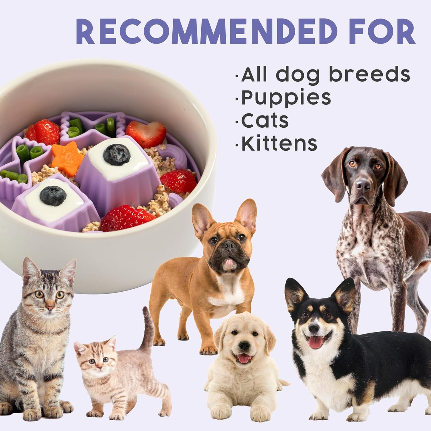 Awoo Snackaroni - Silicone Slow Feeder for Dog Bowls Over 5.5-Inches - Non-Slip, Wet and Dry Food-Compatible Pet Dish with Suction Cups - Extends Mealtime for Fast Eaters - Dishwasher Safe (Yellow)