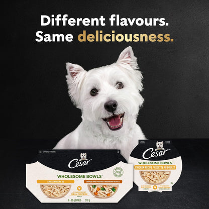 Cesar Wholesome Bowls Adult Wet Dog Food, Chicken, Carrots, Barley & Green Beans Recipe and Beef, Chicken, Purple Potatoes & Carrots Recipe Variety Pack, 3 oz., 6 Count