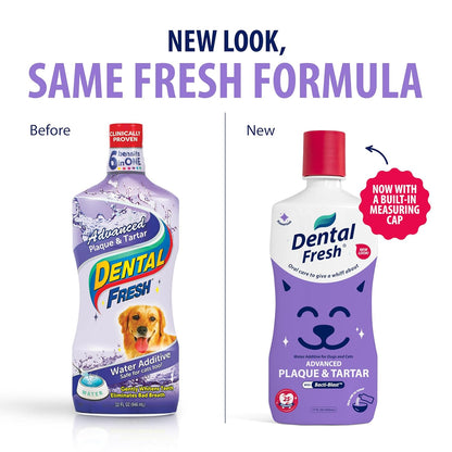 Dental Fresh Plaque & Tartar Control Water Additive for Dogs & Cats – Helps Support Clean Teeth, Healthy Gums & Fresh Breath – Advanced Formula Oral Care, 17 fl oz