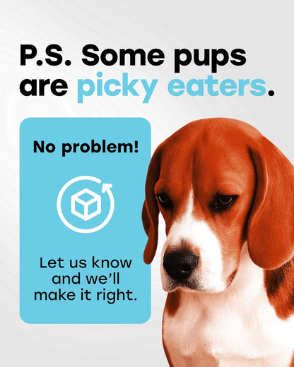 Chewable Dog Probiotics – All-in-One PhD-Endorsed Digestive Enzymes, Prebiotics, Turmeric, Omega-3 & Fiber – Gut, Diarrhea, Itchy Skin & Ear Support – All Ages, Made in USA, 140 Beef Chews