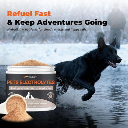 Electrolytes for Dogs – Vet-Formulated Hydration Supplement– Supports Post-Surgery & Illness Recovery– Helps Replenish Fluids & Electrolytes Lost from Diarrhea, Vomiting & Poor Appetite