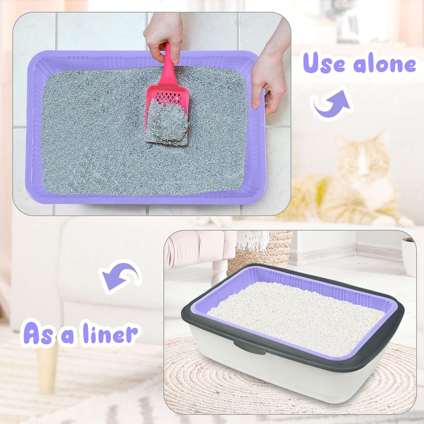 Tessco for you 60 Pack Cat Disposable Litter Boxes Plastic Kitty Litter Trays Recyclable Pans for Pet Travel, 16.7 x 10.5 x 3.4 Inch (Light Purple)