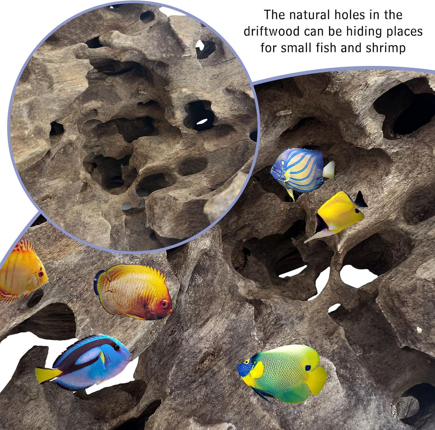 Hamiledyi Natural Driftwood for Aquarium Decor 12 PCS Fish Tank Wood with Small Holey Aquarium Wood Aquascaping for Shrimp Betta Hermit Crab and Butterfly Fish