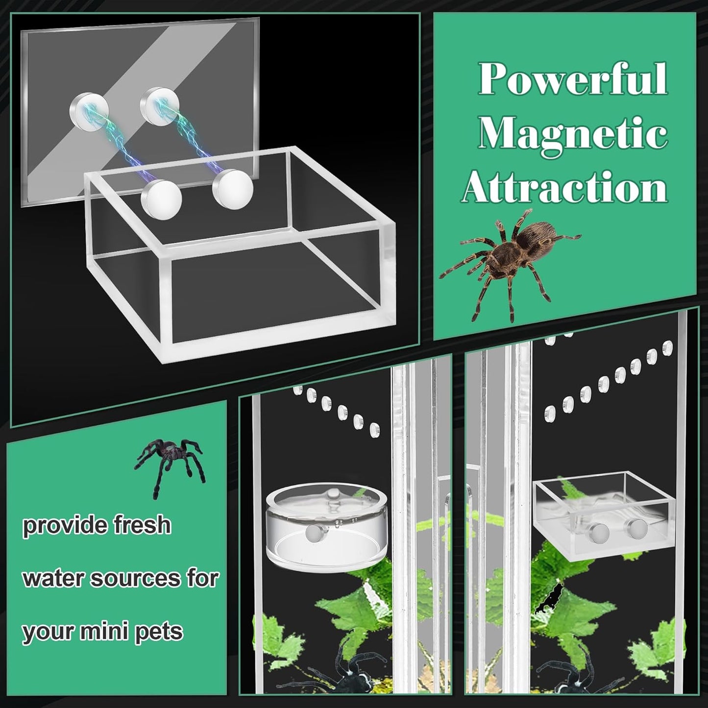 Windspeed 2+1P 1.8 in Mini Jumping Spider Feeding Dish Magnet Tarantula Water Bowl for Spider Feeder Water Dish for Tarantula Tank Enclosure Accessories, with A Dropper