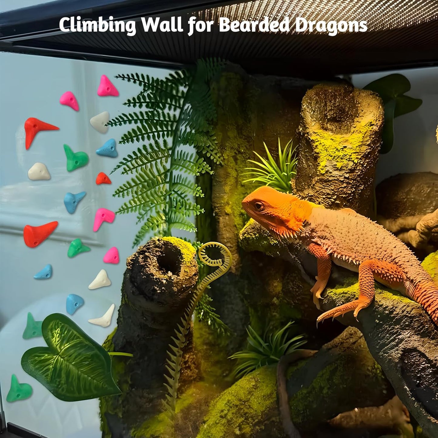 46PCS Glow in the Dark Bearded Dragon Rock Climbing Holds,Reptile Rock Climbing Wall,Bearded Dragon Enrichment Toys,Bearded Dragon Tank Accessories,Climbing Wall Grips for Bearded Dragon,Gecko,Lizard
