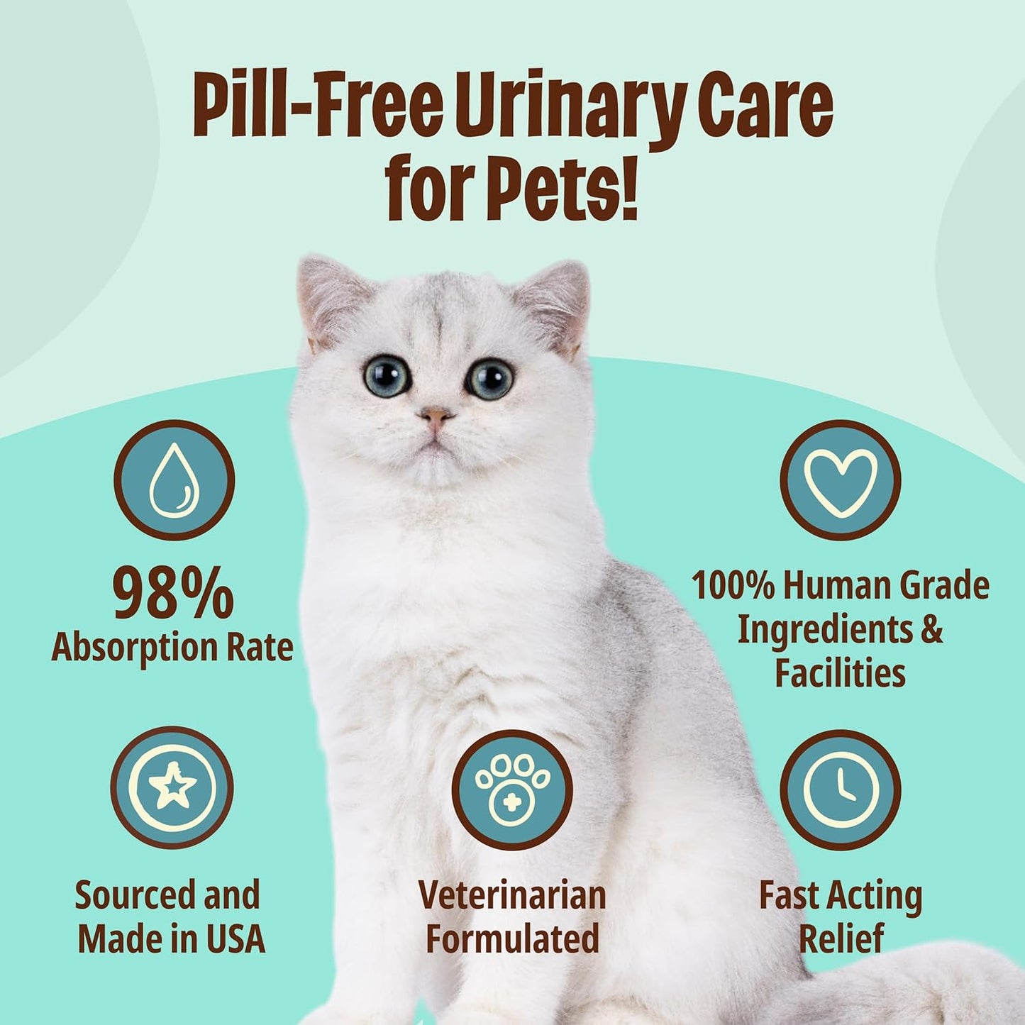 Licks Pill-Free Cat Urinary Tract Care - Cat UTI Care and Prevention Gel Packets - Urinary Tract Infection Supplement for Cats - Omega 3 Fish Oil and L-Lysine Supplement - Gel Packets - 30 Use