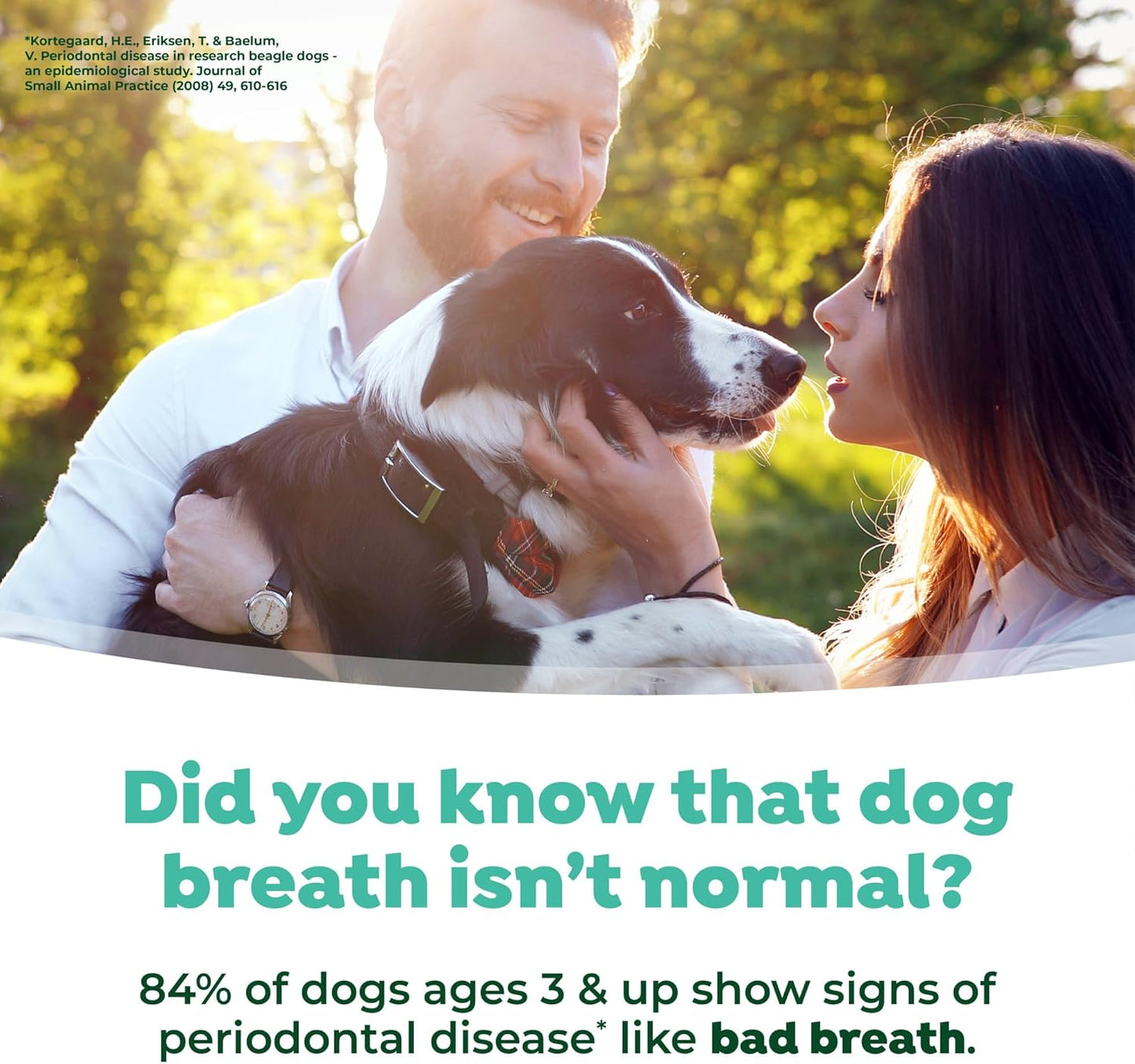 TropiClean Fresh Breath Dental Foam Spray for Dogs & Cats | Quick Breath Freshener and Teeth Cleaning Solution | Made in The USA | 4.5oz.