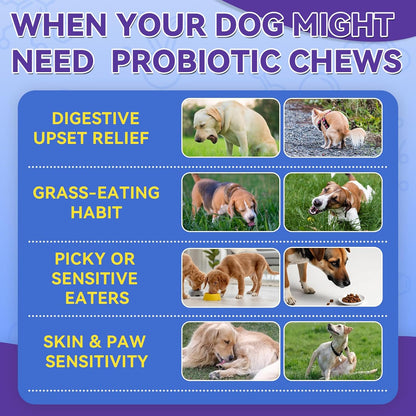 Dog Probiotics Chews 500 Chews, Sensitive Stomach Support Crunchy Shell with Krill Core, Triple Probiotics & Prebiotics, Digestion, Immunity & Skin Care, Chicken Flavor, for All Breeds & Sizes Dogs