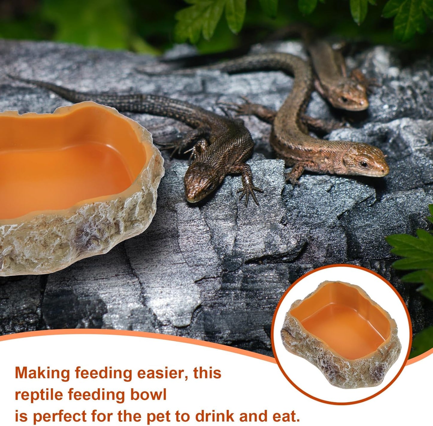 Resin Rock Worm Feeder Dish and Tortoise Water Bowl Reptile Food Holder XS Size Terrarium Feeding Supplies for Lizards Geckos Turtles and Amphibians