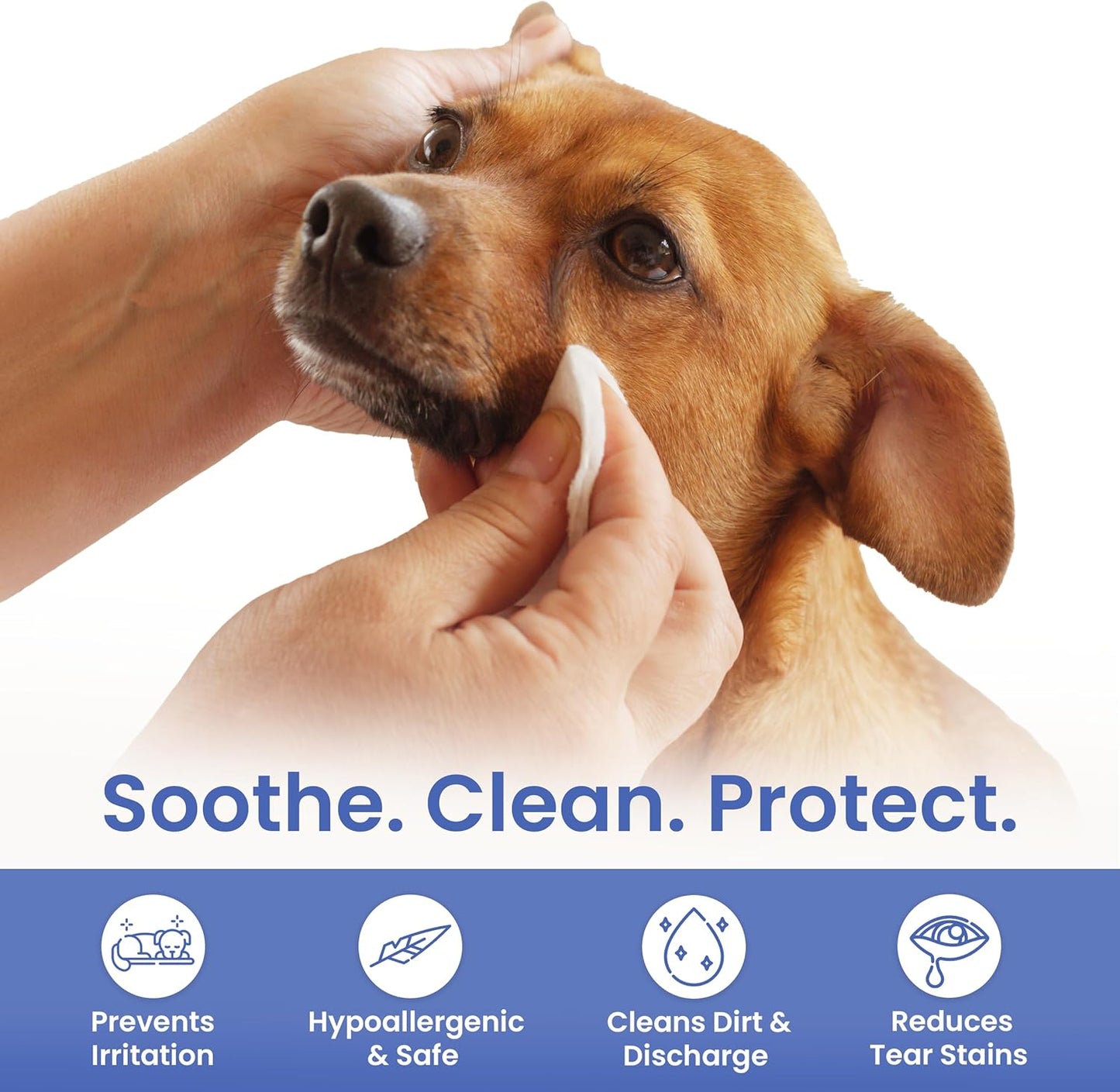 American Kennel Club Pet Eye Wipes for Dogs & Cats – Tear Stain Remover & Eye Discharge Cleaner – Hypoallergenic Grooming Wipes, 100 Count (Oatmeal Scent)