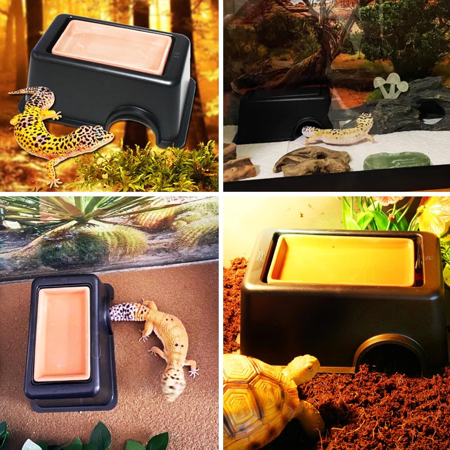 Hamiledyi Reptile Hide Box Gecko Hideout Cave with Sink Humidifier and 4 Pcs Reptile Hideouts Natural Coconut Shells Hut Hermit Crab Climbing Toys for Spider Snake Chameleon