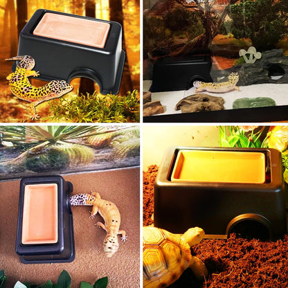 Hamiledyi Reptile Hide Box Gecko Hideout Cave with Sink Humidifier and 4 Pcs Reptile Hideouts Natural Coconut Shells Hut Hermit Crab Climbing Toys for Spider Snake Chameleon