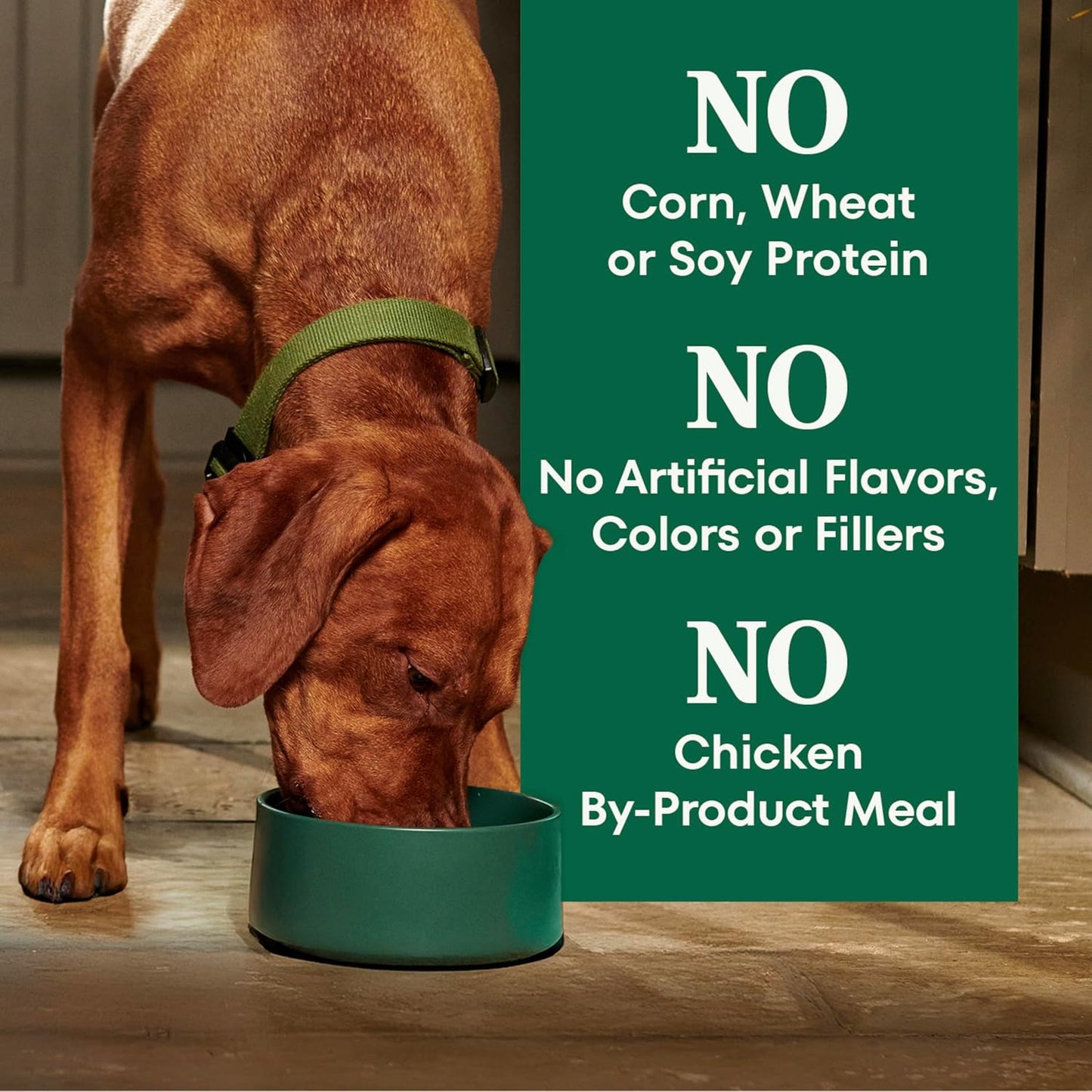 Nutro Natural Choice Adult Large Breed Dog Food Dry, Chicken & Brown Rice Recipe, 36 lb. Bag