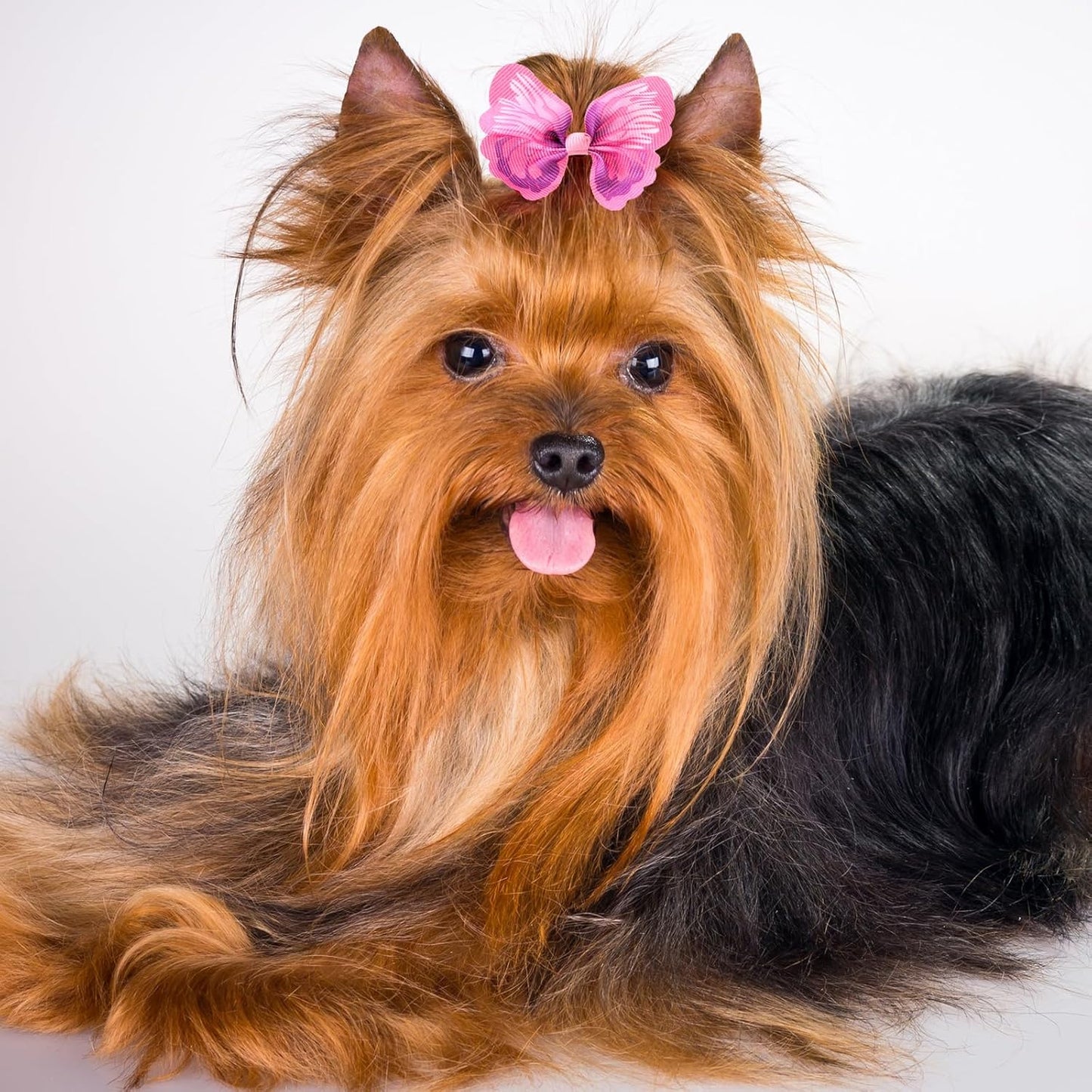 Janinka 36 Pieces Dog Hair Bows with Rubber Bands Butterfly Small Dog Knotted Bows Flower Pearls Elastic Hair Ties Bands for Pets Puppy Cats Grooming Accessories (Fresh Color)