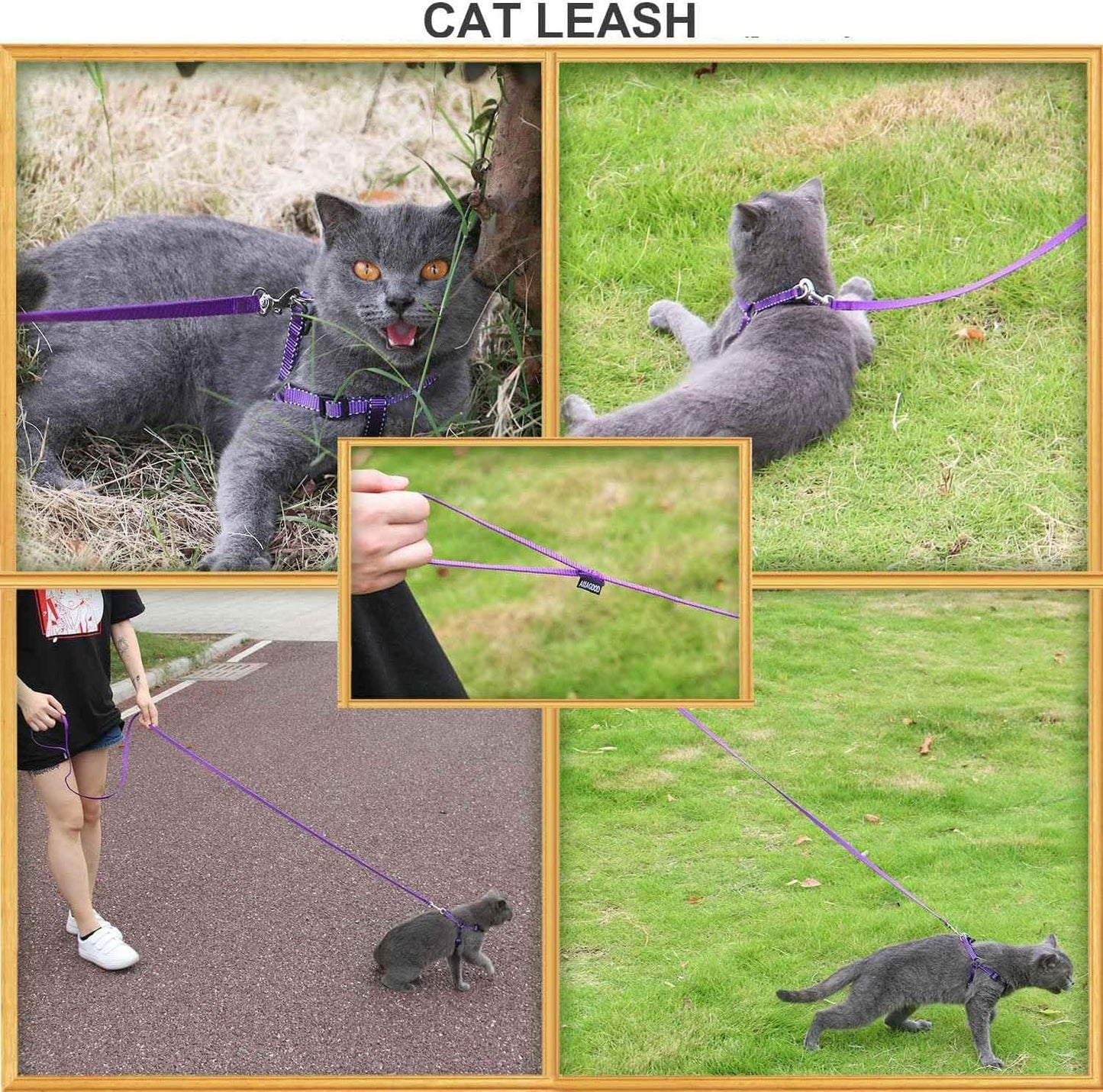 AMAGOOD 6 FT Cat Leashes, Strong Traditional Style Leash with Easy to Use Collar Hook,Cat Lead Great for Cats (3/8 in x 6 ft(Pack of 1), Purple)