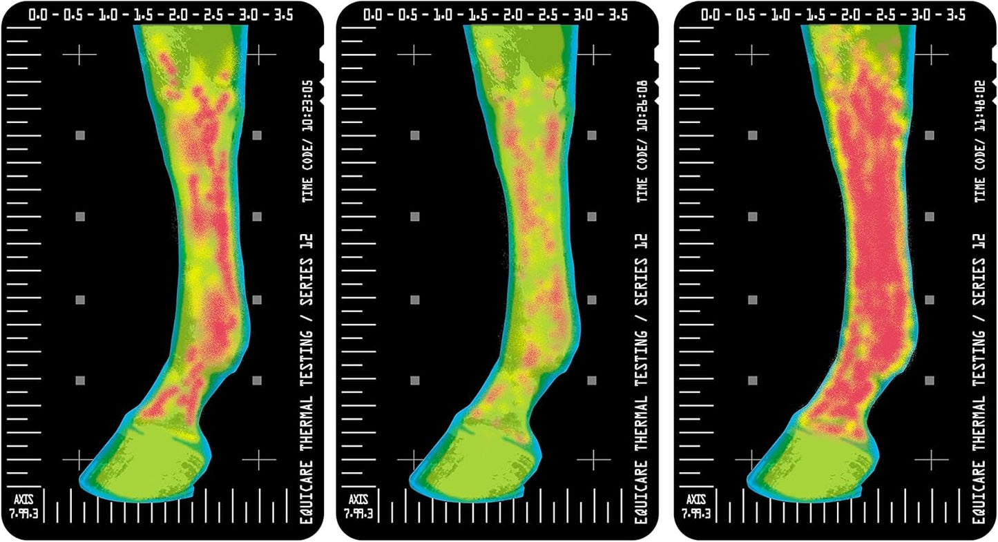 Vita Flex Thermaflex Liniment Gel for Sore Muscles and Joint Relief in Horses 12 Fluid Ounces