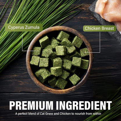 Cat Grass Treats, Natural Hairball Treatment for Cats, Healthy Freeze-Dried Supplement to Aid Digestion and Control Hairballs, 120 g