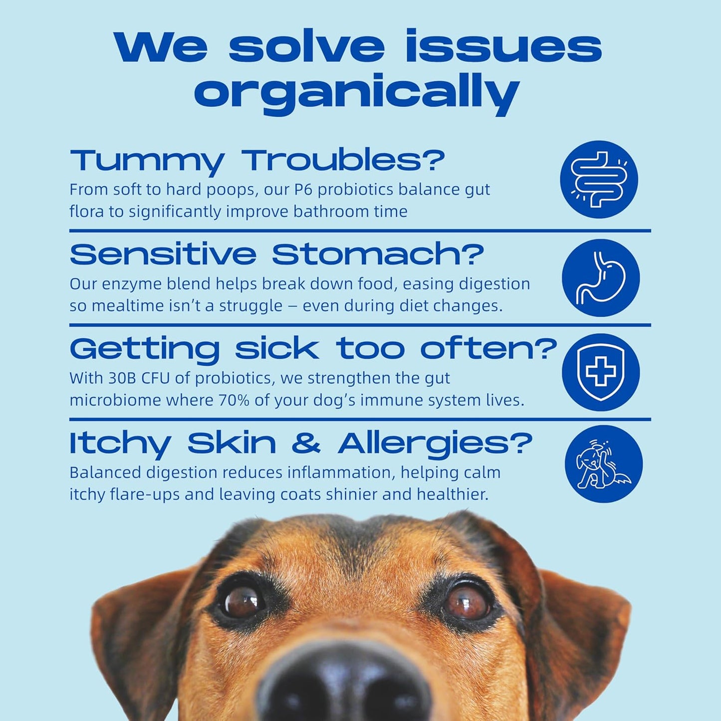 Probiotics for Dogs – Gut Health by Happy Dog | Organic, Vegan Probiotic Soft Chews with Prebiotics for Digestion, Immunity & Itchy Skin Relief | 120 Soft Chews Peanut Butter Flavor