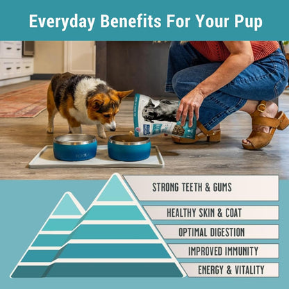 MONTANA DOG FOOD CO. Freeze-Dried Raw Surf & Turf Recipe Dog Food – Grain-Free, High-Protein Meal or Topper, Made in USA with USA Ingredients -6.4 oz Bag