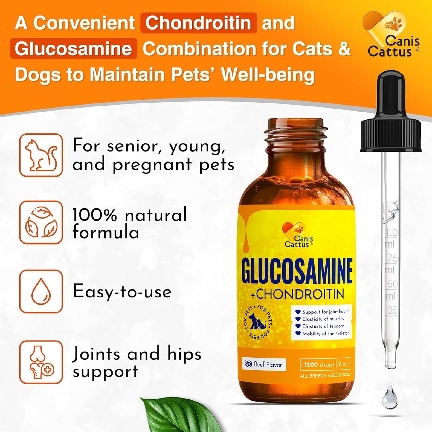 Canis&Cattus Liquid Glucosamine Dogs and Cats – Joint Supplement with MSM & Chondroitin – Mobility & Hip Support for Pets – Beef Flavor – 2oz